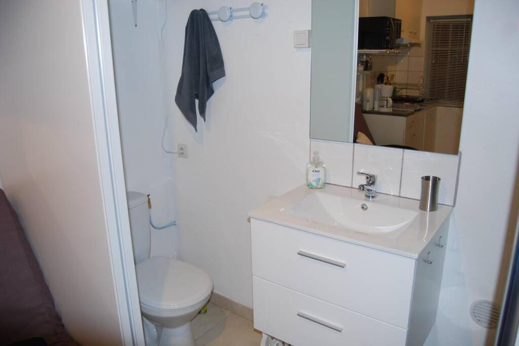 L'Atelier A 100 M De Tarbes Sud Villa Laloubere Bagian luar foto
